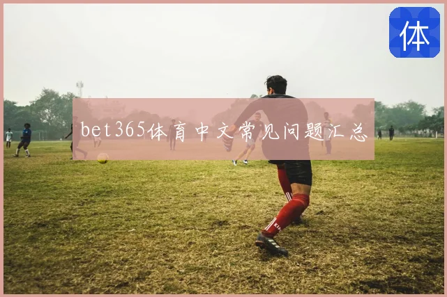 bet365体育中文常见问题汇总